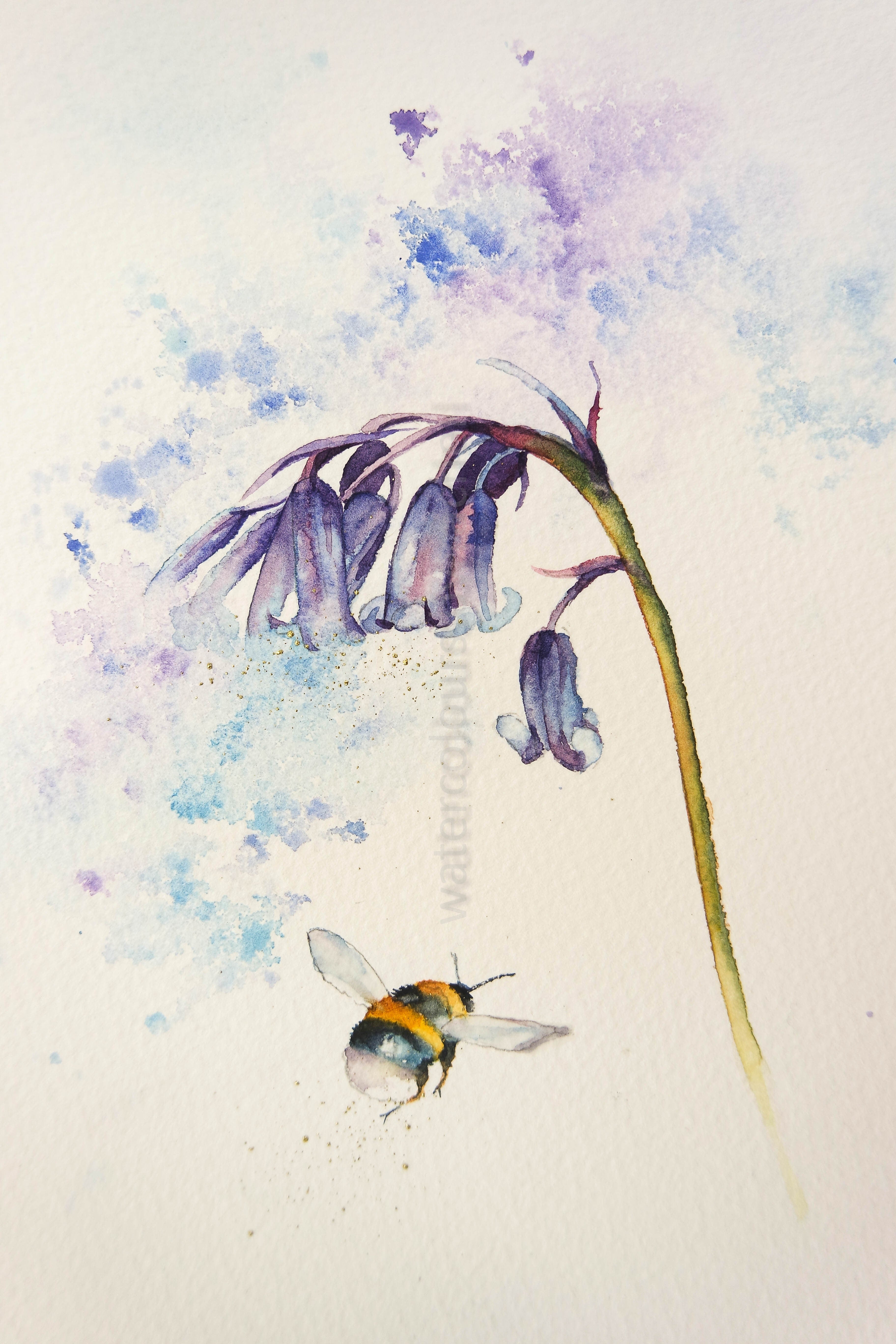 Bluebell Flower - Water Color Print