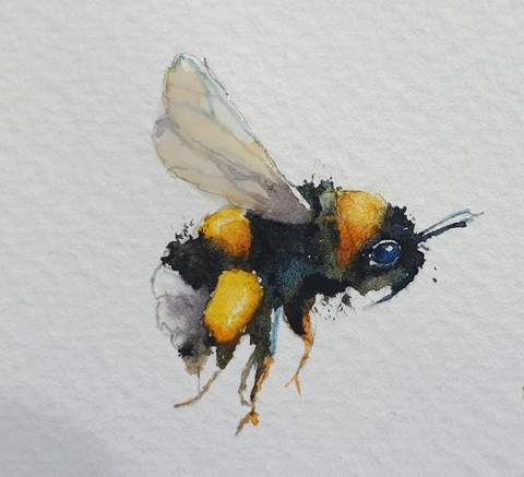 One little bumble bee. watercolours by rachel