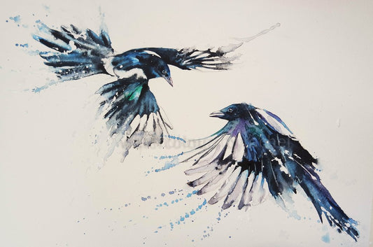 Magpies in flight