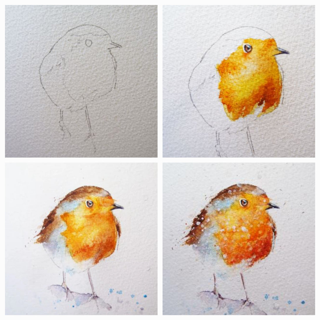 A robin in 8 easy steps..... I think anyone could have a go !