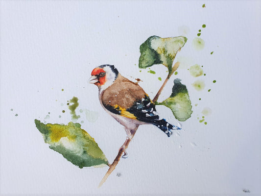 Goldfinch