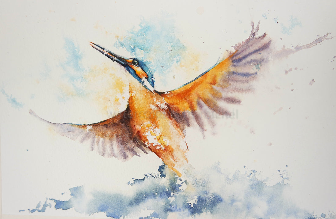 Kingfisher ( trying to capture a moment )