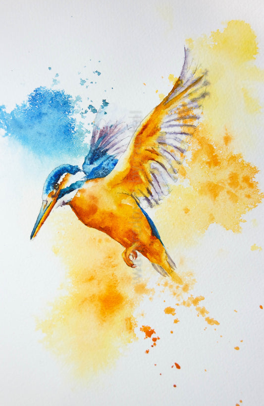 Creating order out of chaos ( a kingfisher)