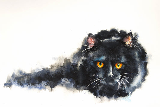 Painting a fluffy black cat