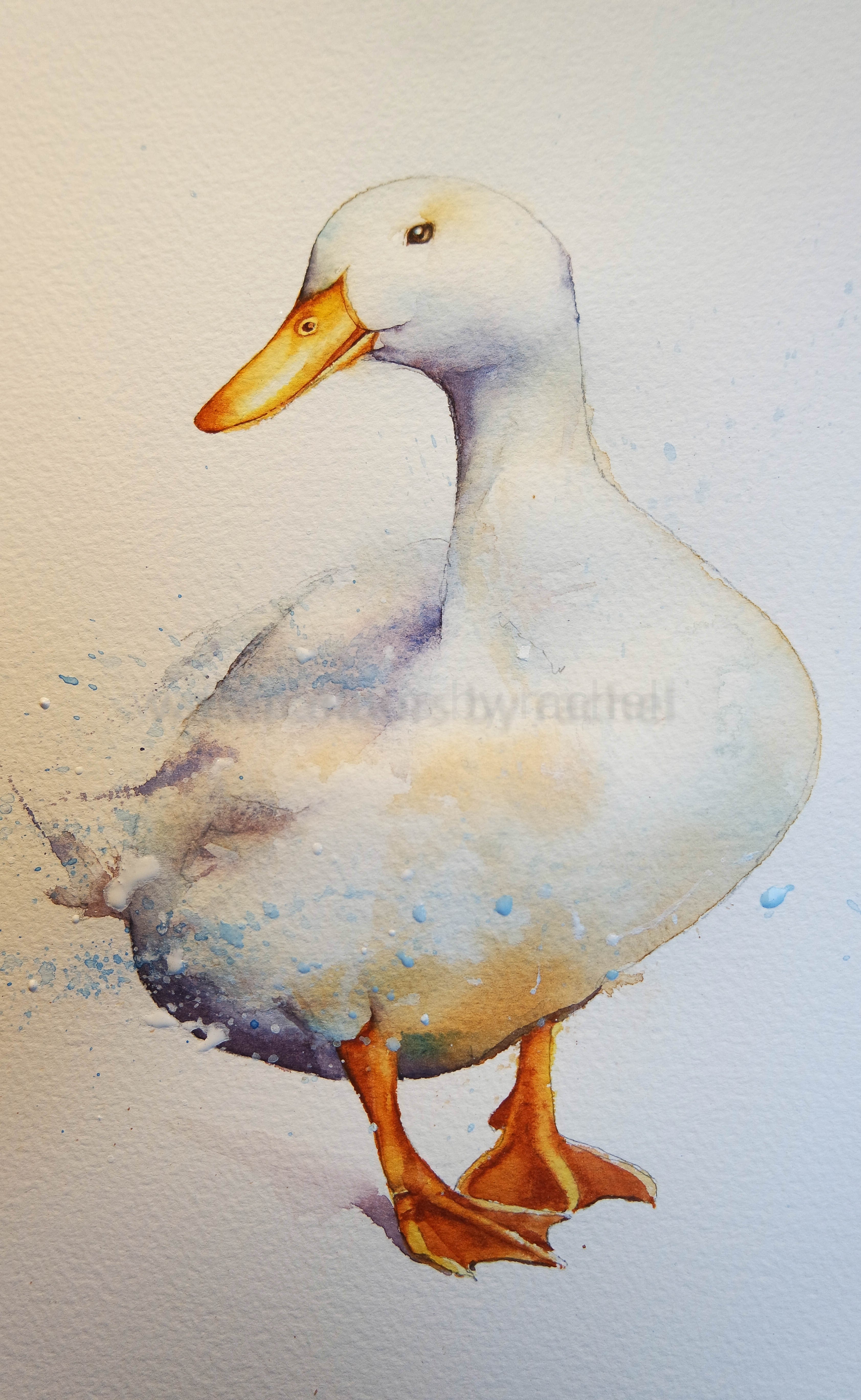 How to paint a white duck on white paper. watercolours by rachel