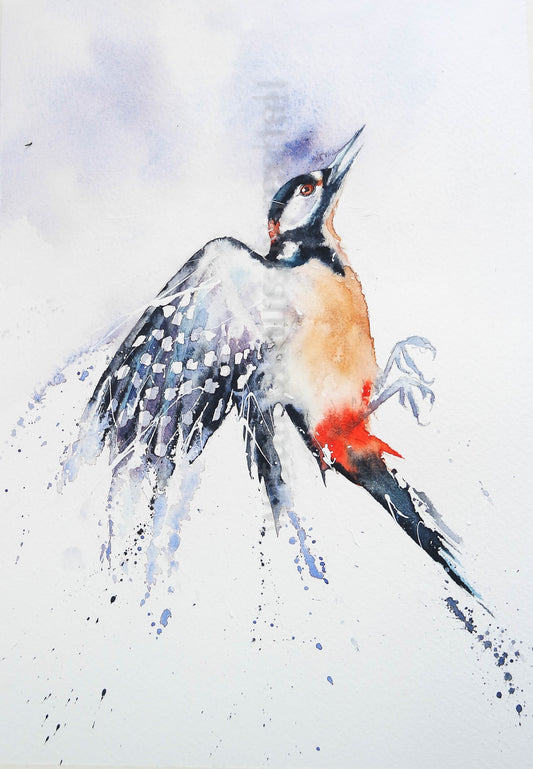 Painting a woodpecker, (wings of happiness)