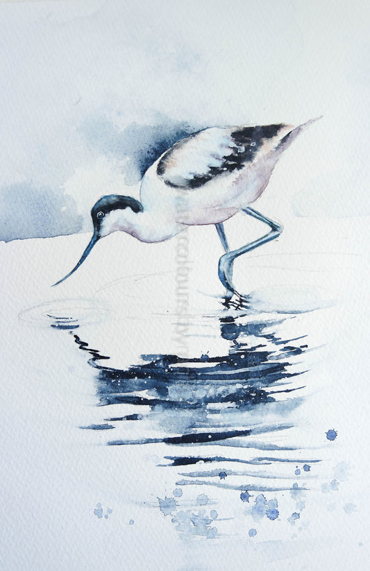 An Avocet using just 5 colours.