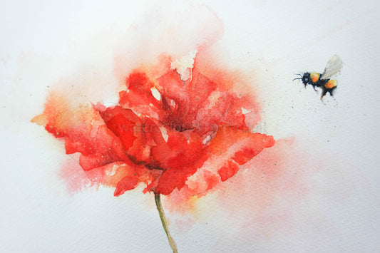 How to paint a splishy splashy poppy