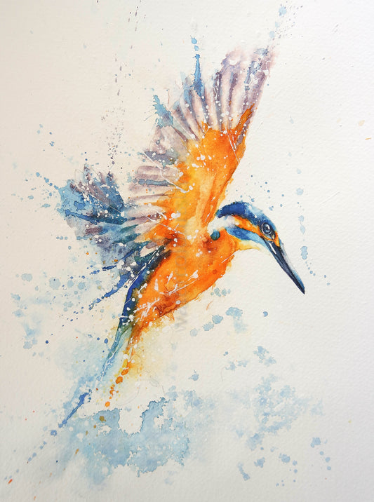 The kingfisher