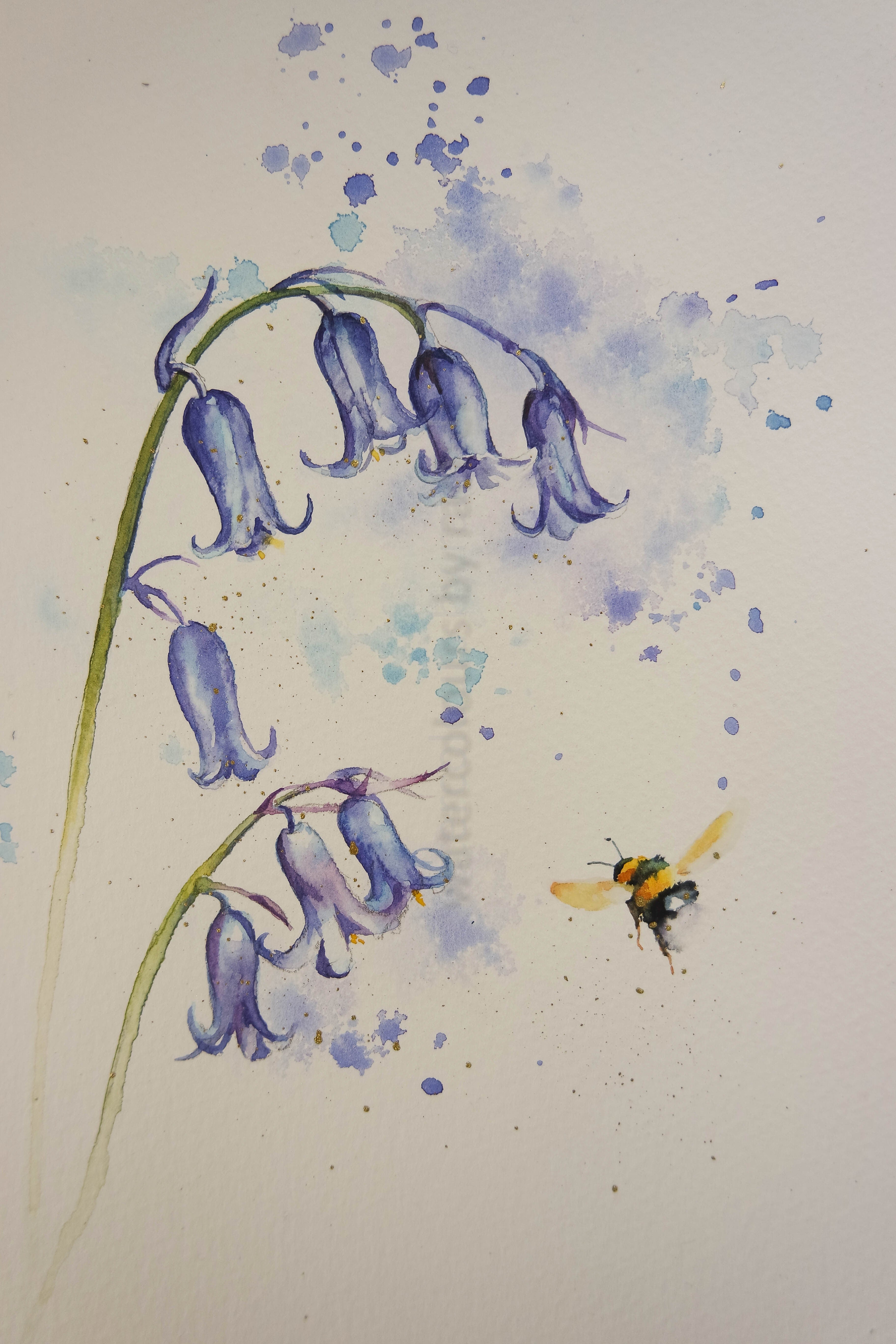 Bluebells painting store