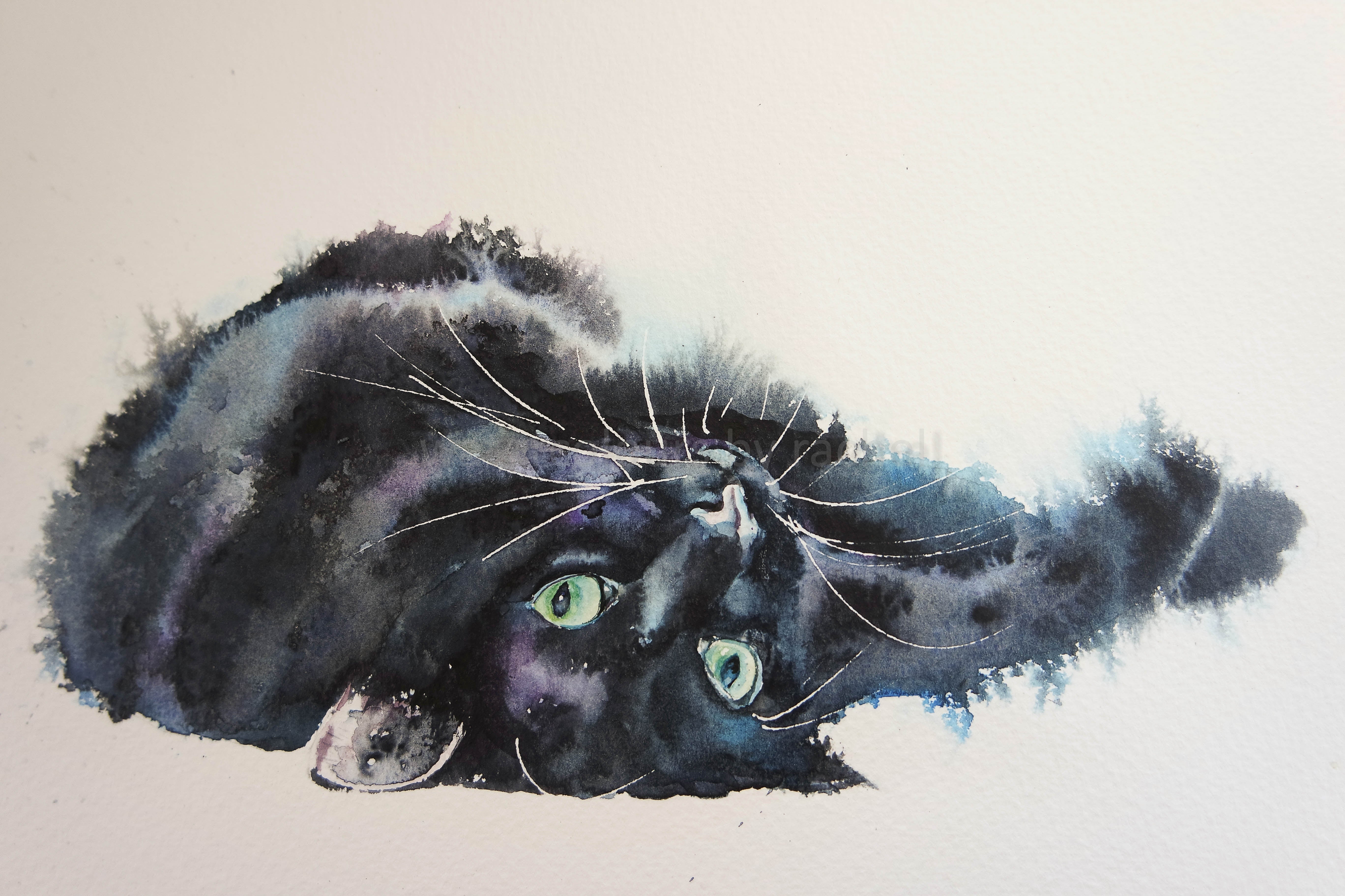 Wet in wet, (or a very soggy moggy) – watercolours by rachel