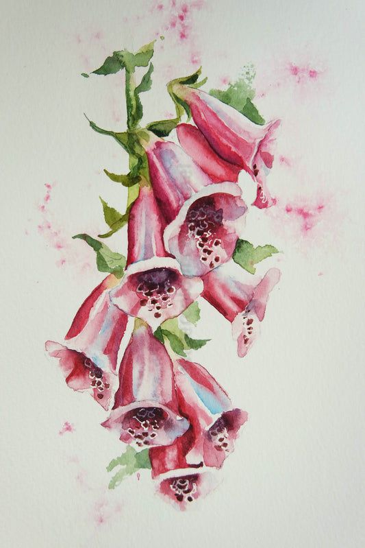 Foxgloves (part 1)