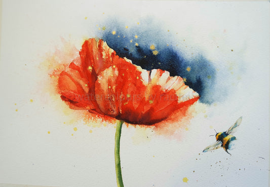 A bright loose poppy