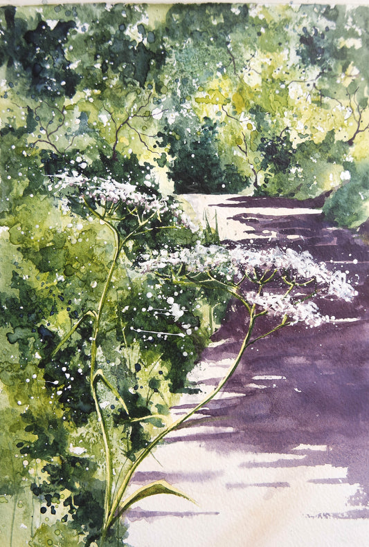 Clouds of cow parsley ( too many greens ! )