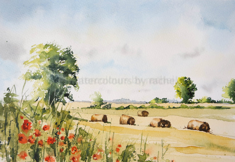 Summer sun, hay meadows and poppies – watercolours by rachel