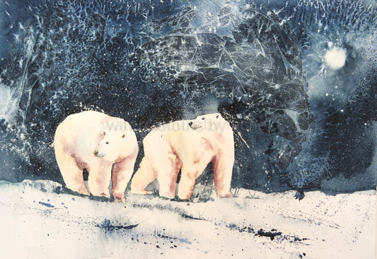 Polar bears