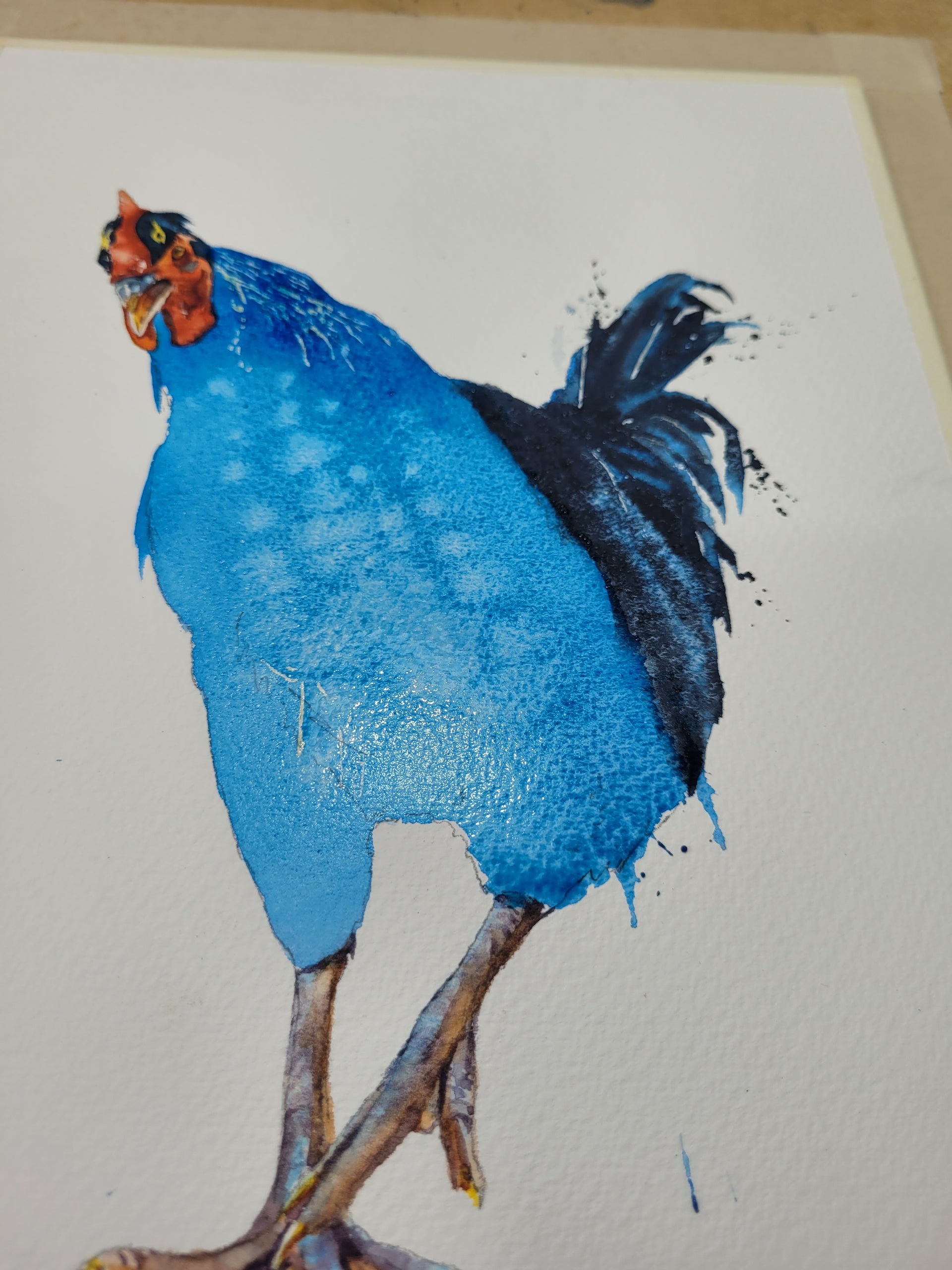 Painting a chicken ( you did what ?) – watercolours by rachel