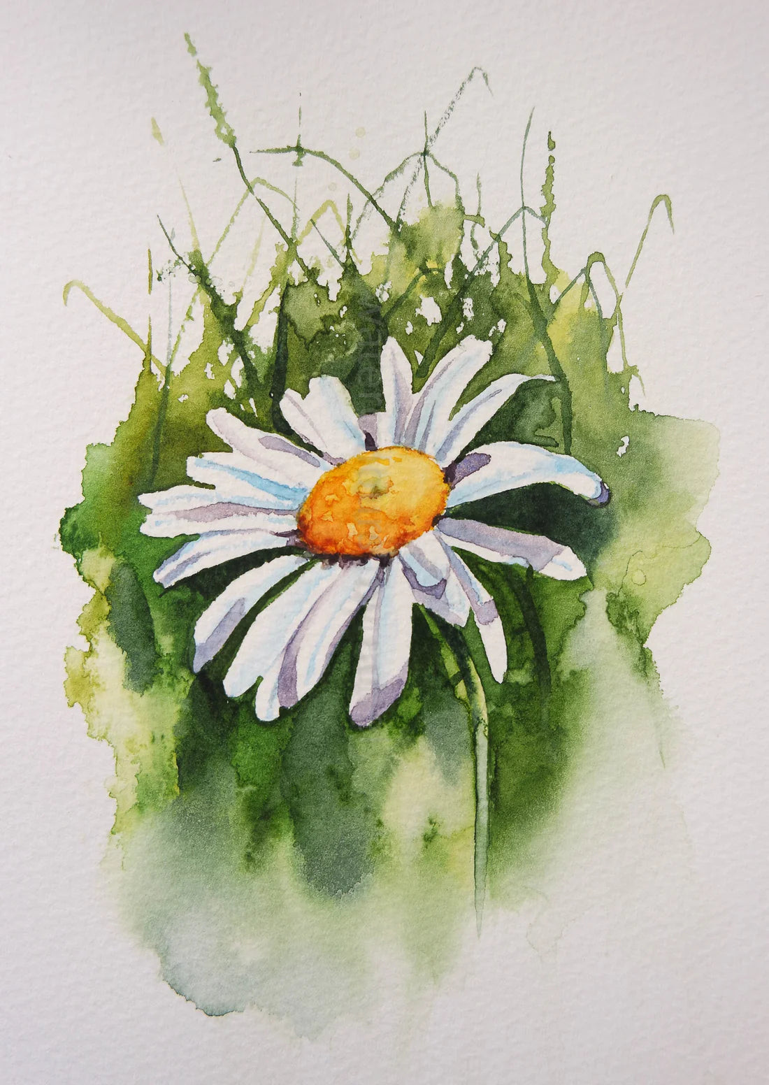 Let's paint a daisy !