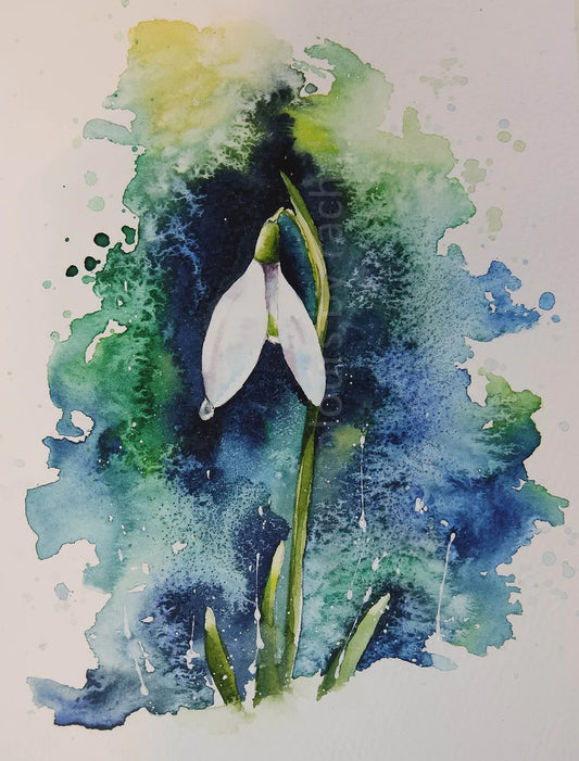 A simple snowdrop