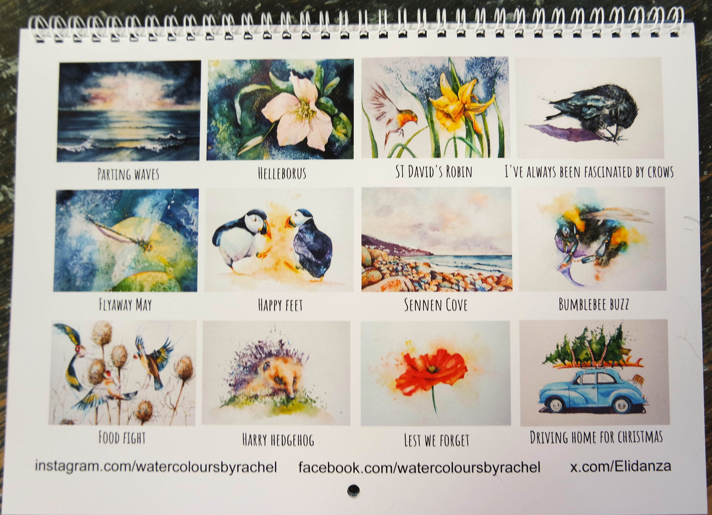 ***NEW*** 2025 Art Calendar