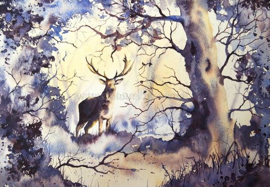 Woodland Stag