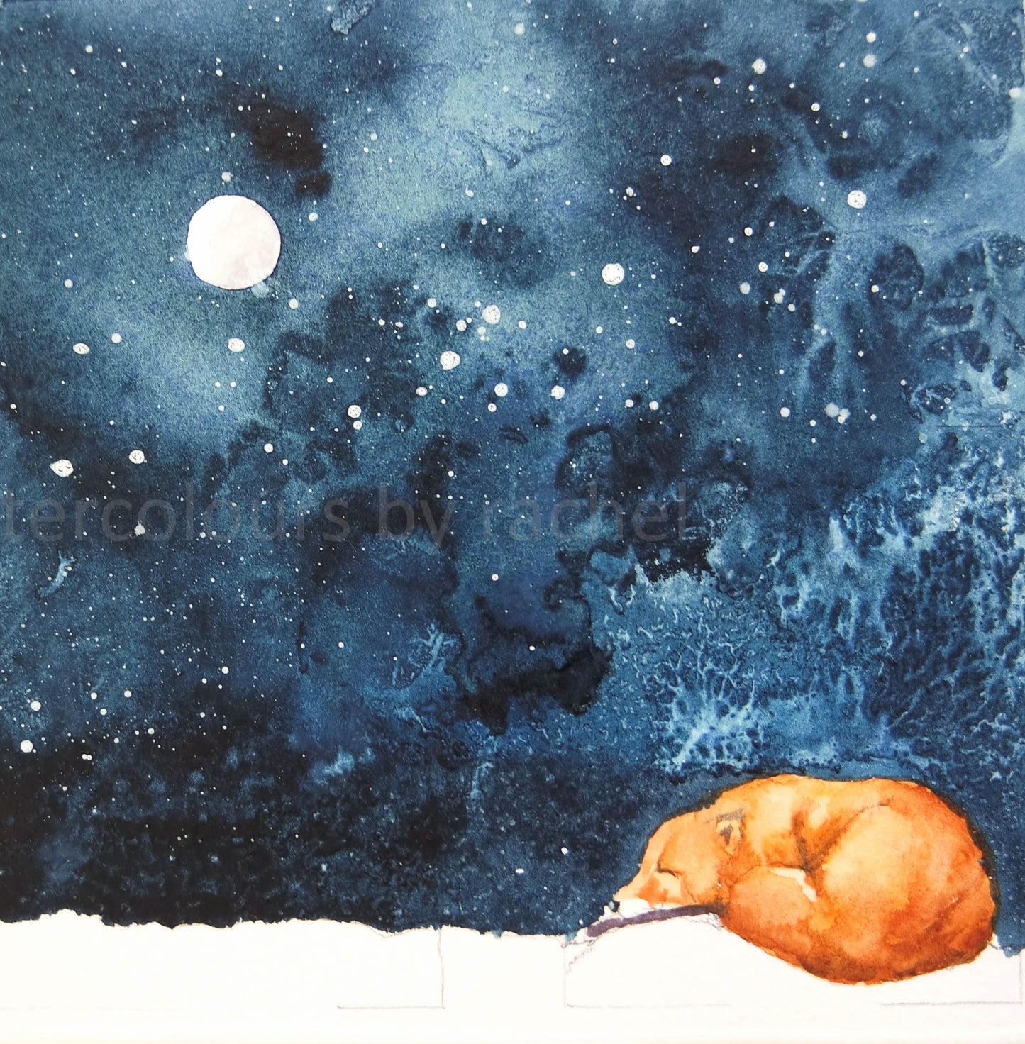 ***NEW***  INDIGO COLLECTION - Small Framed original 'Window on a winter Fox'