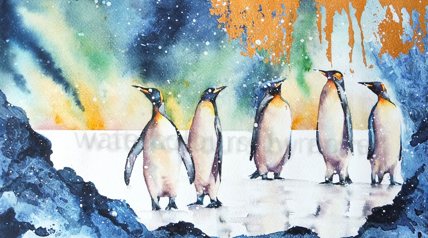 Penguins and the northern lights