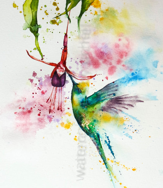 Hummingbird