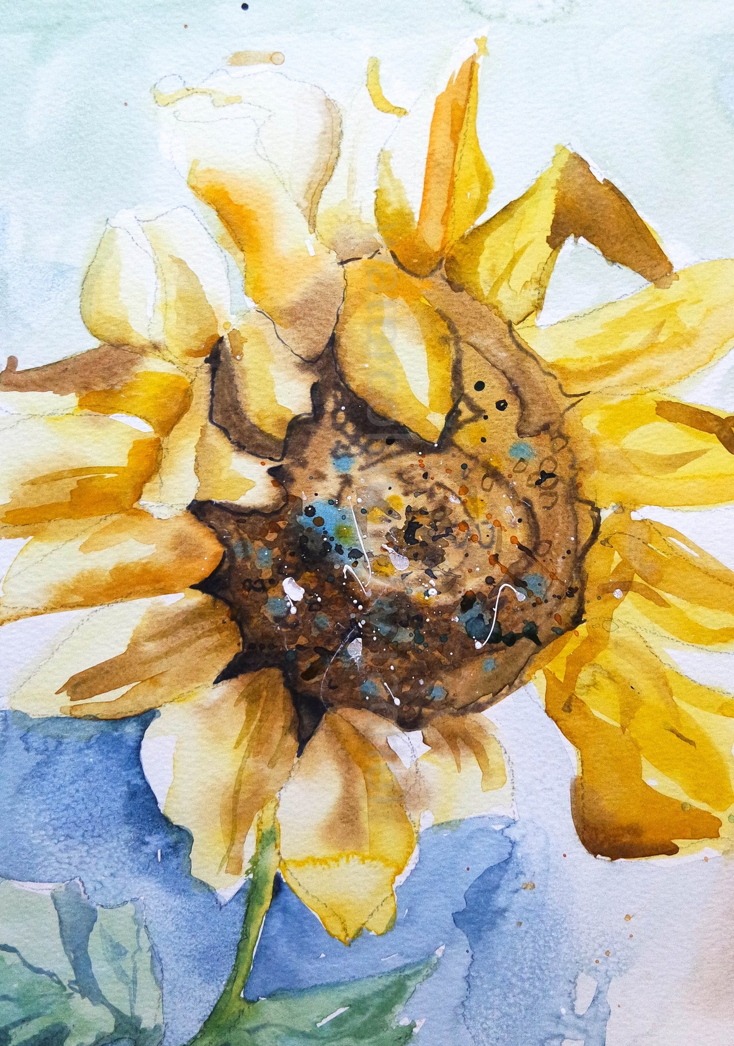 ***SALE *** Sunflower