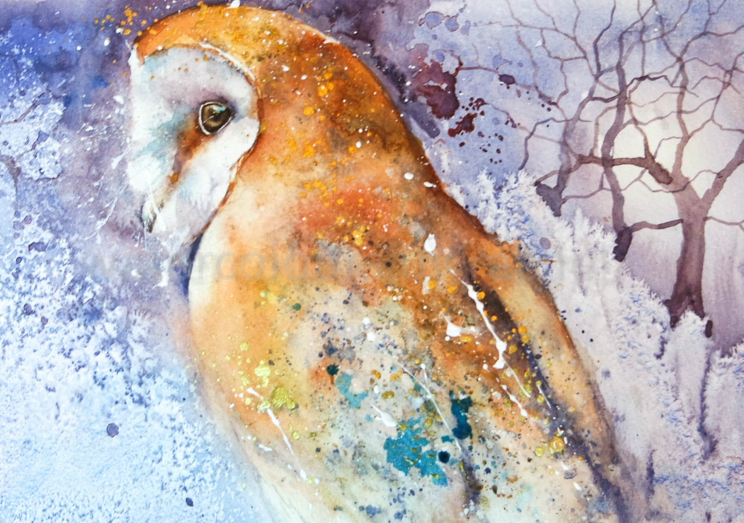 Barn Owl