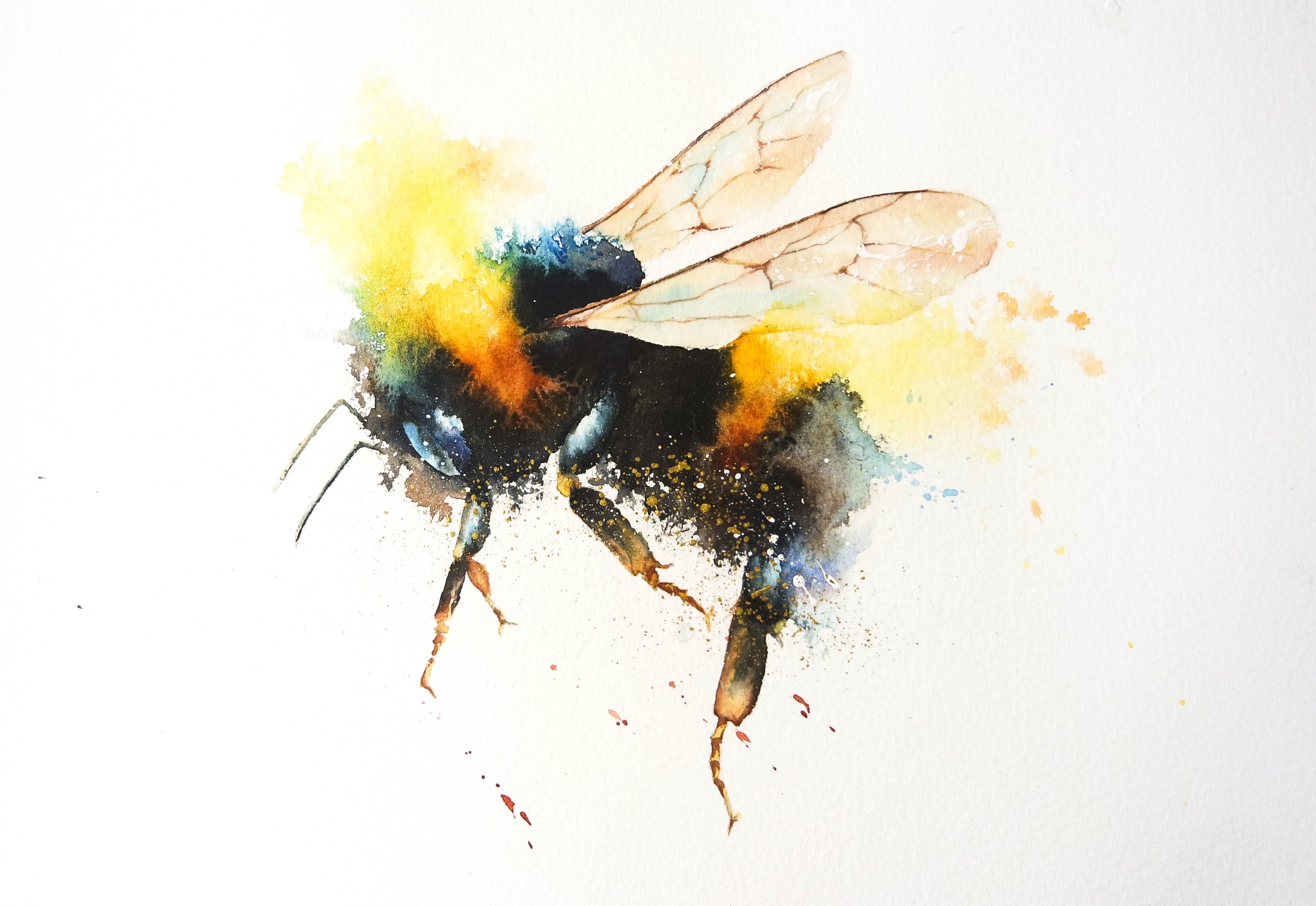 limited edition prints , mugs and calendars – watercolours by rachel