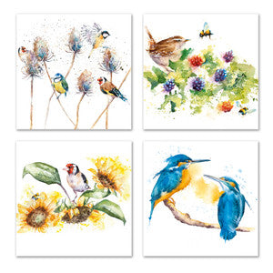 Note card Wallet  ( 8 cards) - Kingfishers and other birds