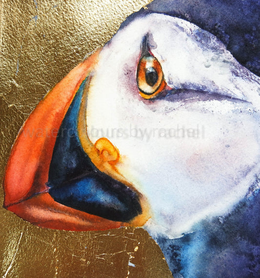 Golden Puffin Portrait