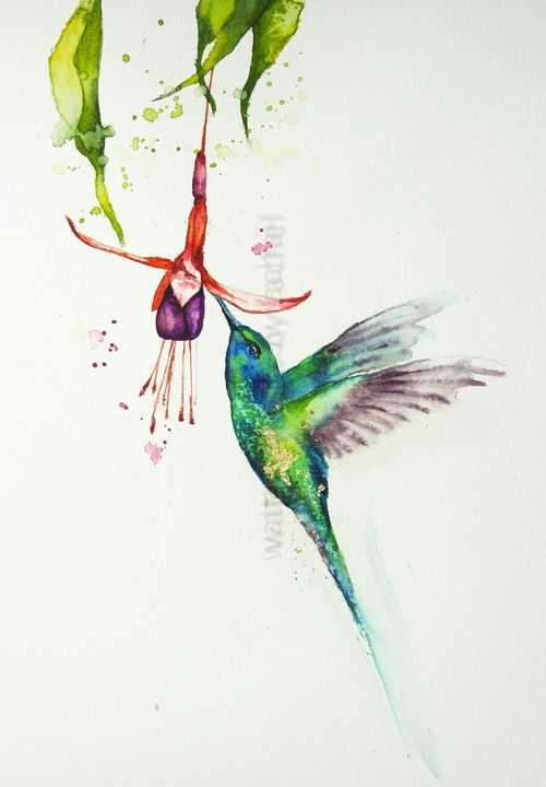 Hummingbird