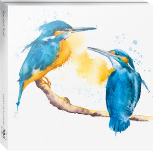 Note card Wallet  ( 8 cards) - Kingfishers and other birds