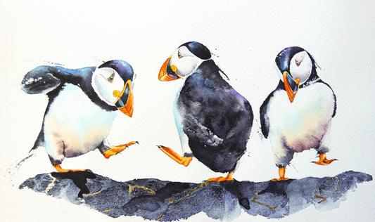 Dancing Puffins