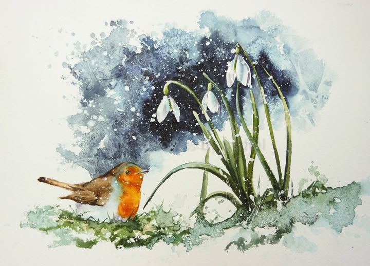 Snowdrops and a robin