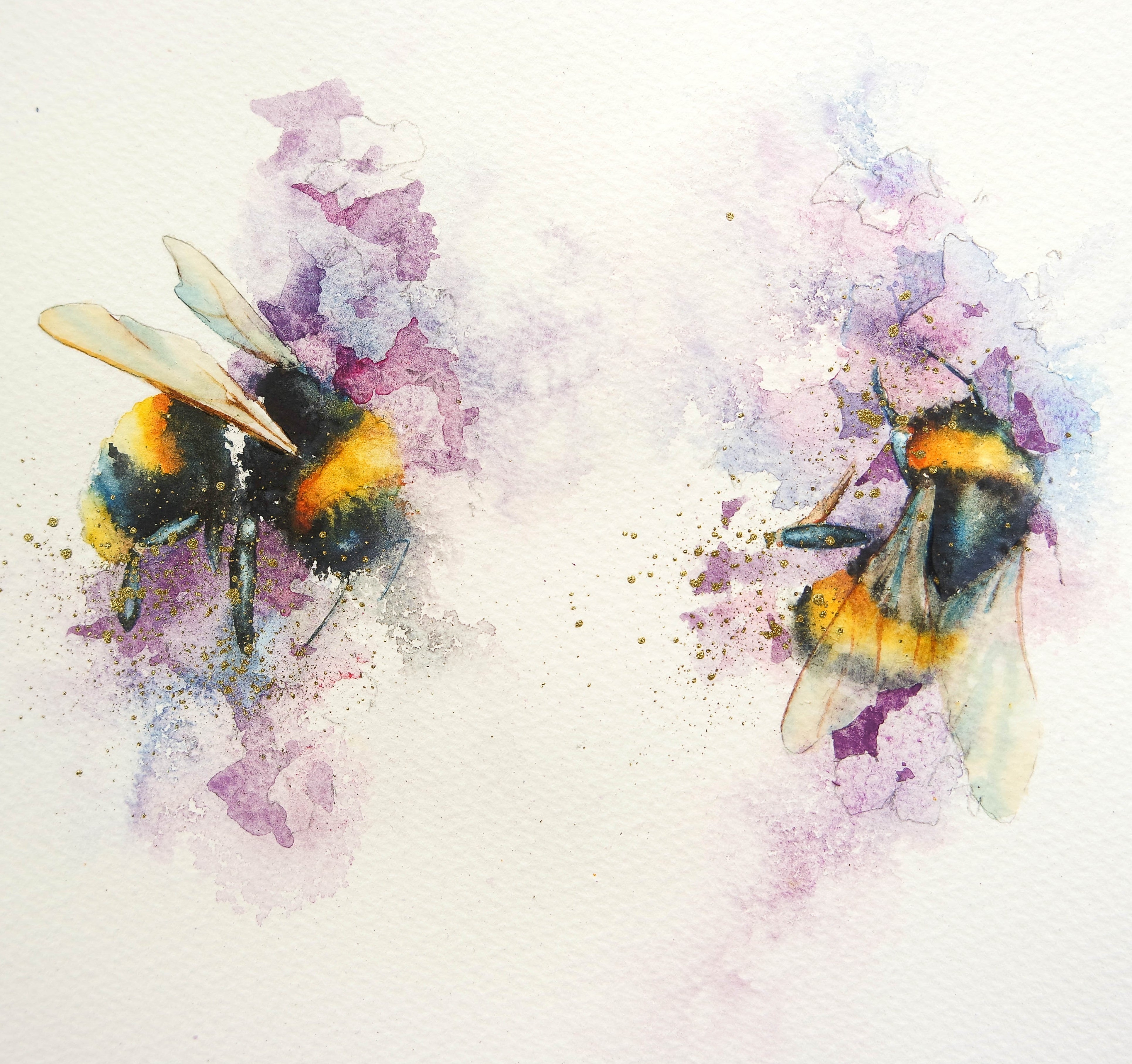 Allium Bumblebee newest watercolor