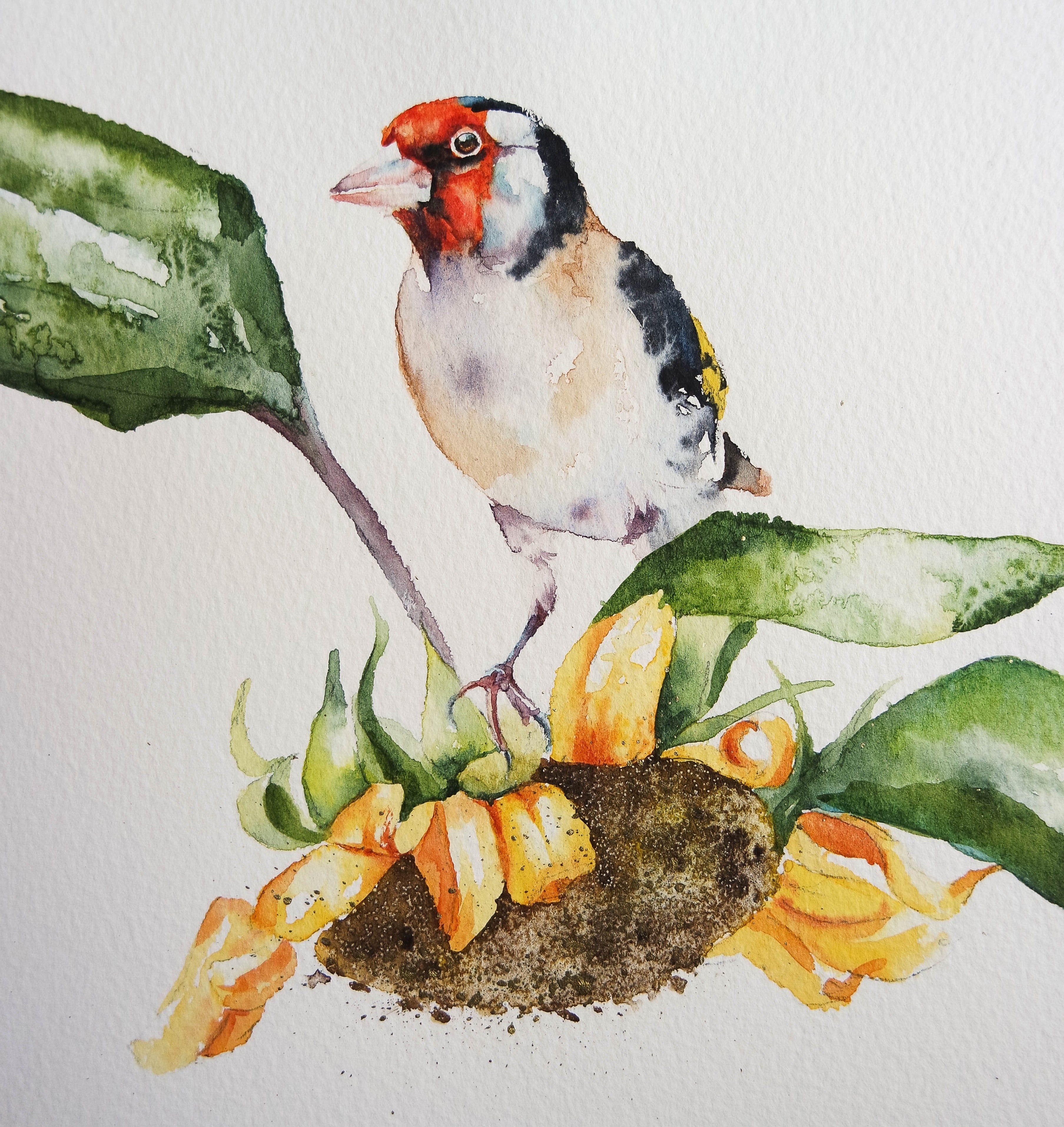 Yard Birds, outlets Print of original Watercolors by Lore Ruttan