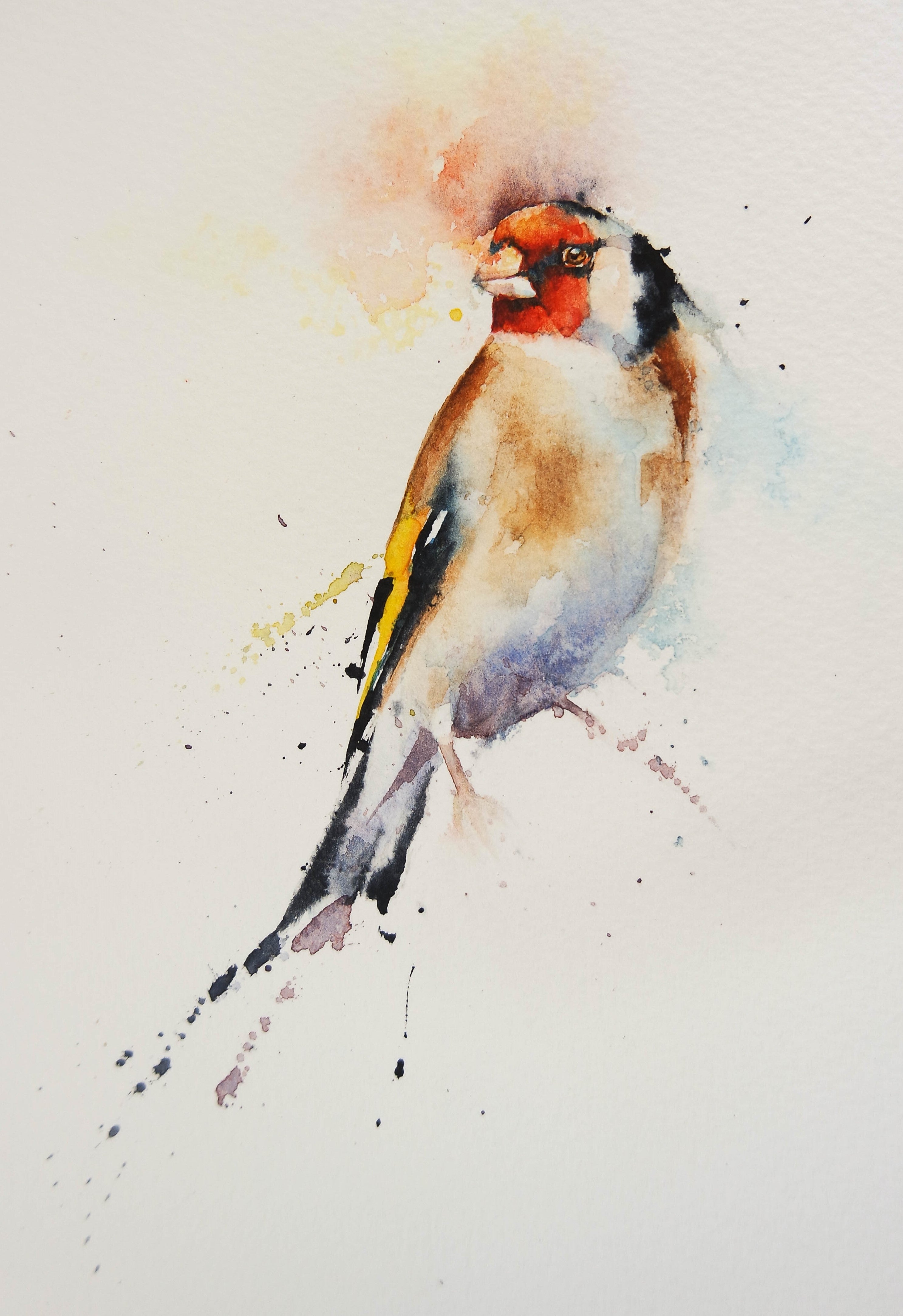 limited edition prints , mugs and calendars – watercolours by rachel